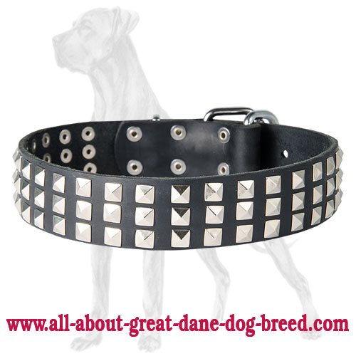 Stylish Leather Great Dane Collar with Silver Pyramids [S451094 3