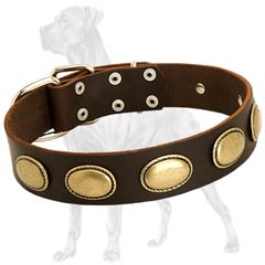 Vintage looking Great Dane collar