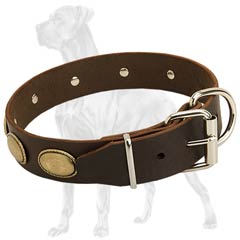 Wonderful leather collar for Great Dane