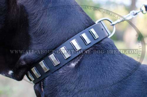 Fashionable Leather Collar for Great Dane