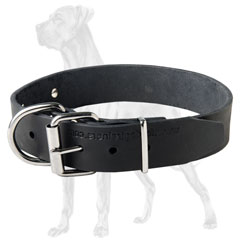 Hypo-allergic Leather Great Dane Collar