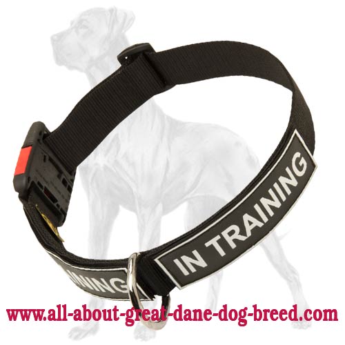 Great Dane All Weather Nylon Collar Quick Release Buckle [C481094