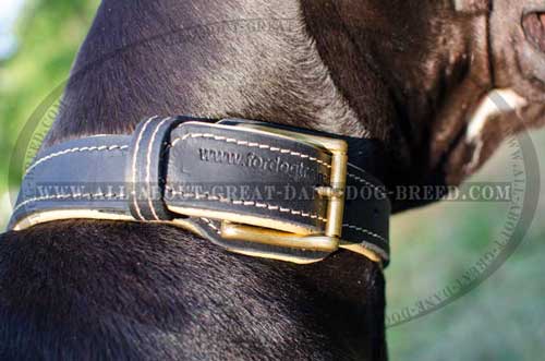 Leather Nappa padded Great Dane collar