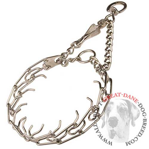 Martingale Pinch Great Dane Collar with Swivel Ring and Quick Release Snap Hook