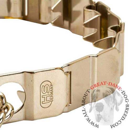 Stainless Steel Pinch Dog Collar