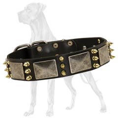 Great Dane Spiked Leather Collar Nickel Plated Buckle