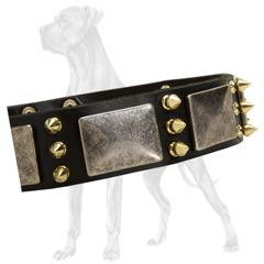 Great Dane Spiked Leather Collar Wide
