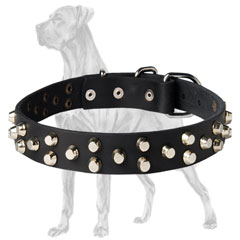 Great Dane Studded Leather Collar Non-Toxic Cover