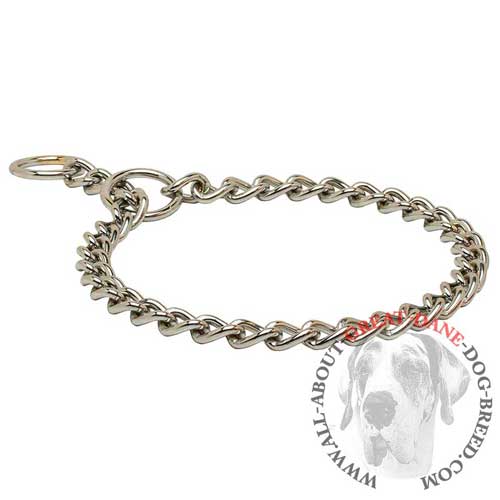 Chrome plated choke chain collar for Great Dane
