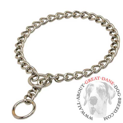 Collar for Great Dane with polished links