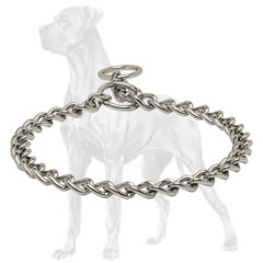 Chrome Great Dane choke collar for behavior correction