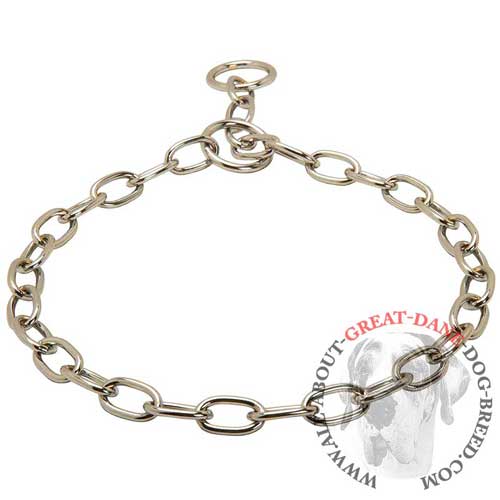Choke chain collar for Great Dane with polished links
