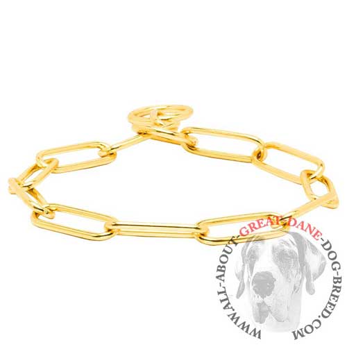 Fur saver collar for Great Dane with polished links