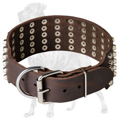 Chic Great Dane collar with strong hardware