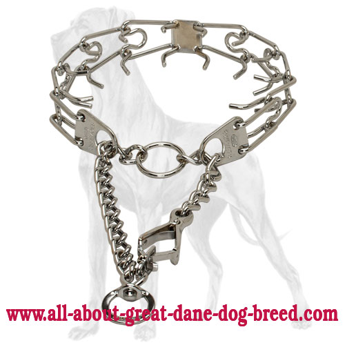 Quick behavior correction with Great Dane pinch collar