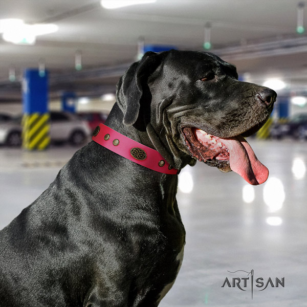 Great Dane perfect fit collar with unusual decorations for your doggie