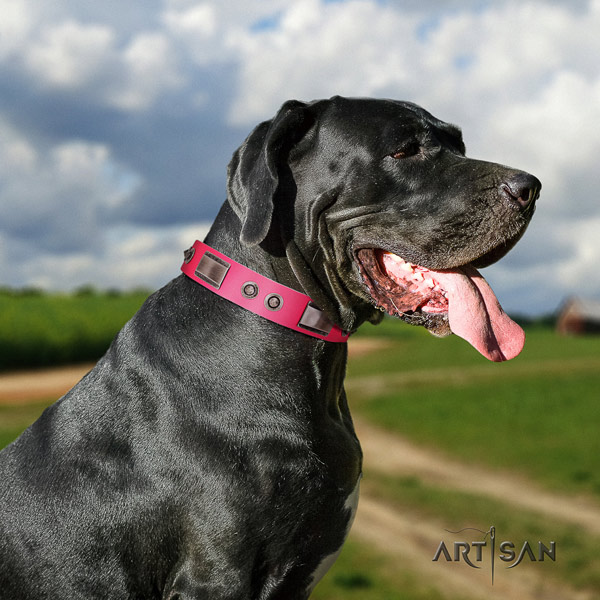 Great Dane handcrafted collar with unusual embellishments for your pet