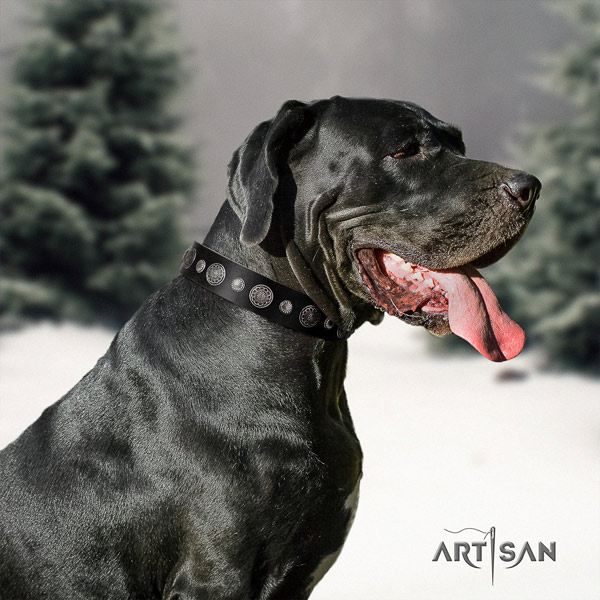 Great Dane comfortable collar with exquisite adornments for your four-legged friend