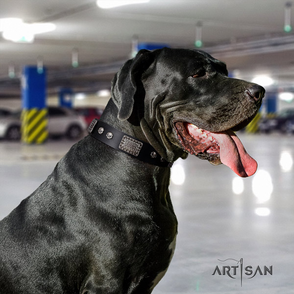 Great Dane adjustable collar with fashionable studs for your pet