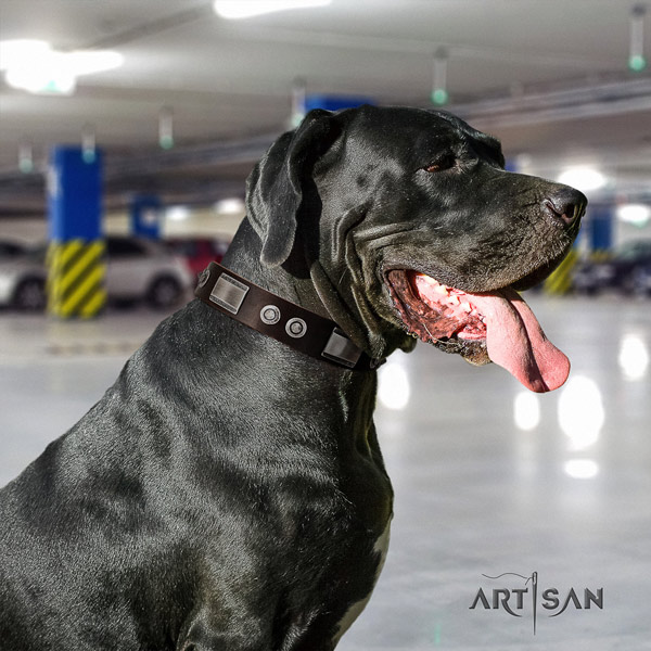 Great Dane easy adjustable collar with top notch embellishments for your dog