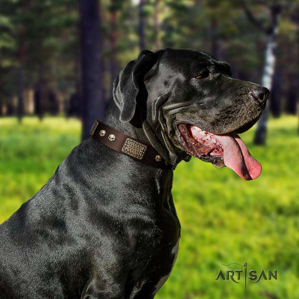 Great Dane handmade collar with stylish embellishments for your doggie