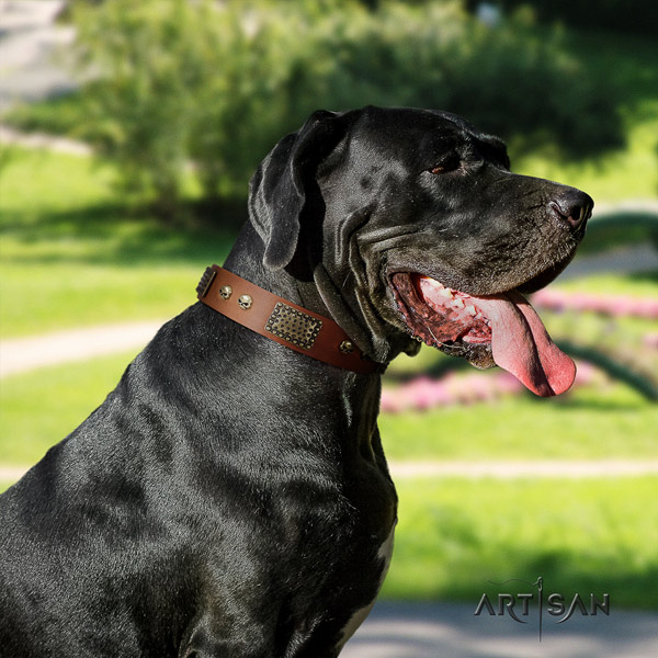 Great Dane perfect fit collar with stylish design decorations for your doggie