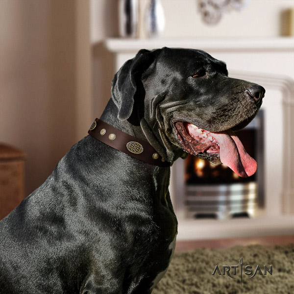 Great Dane easy to adjust collar with inimitable embellishments for your dog