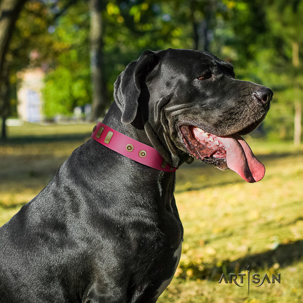 Great Dane fancy walking genuine leather collar with decorations for your doggie