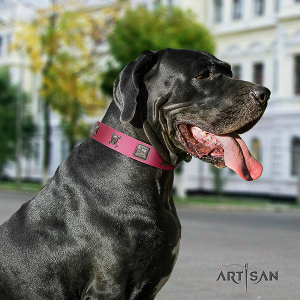 Great Dane comfy wearing full grain genuine leather collar with studs for your pet