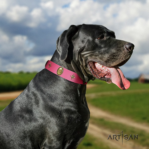 Great Dane comfy wearing full grain genuine leather collar with decorations for your canine