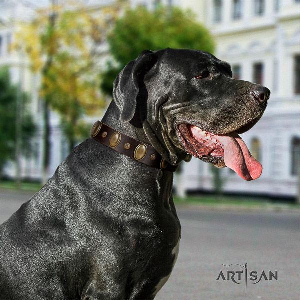 Great Dane handy use genuine leather collar with embellishments for your pet
