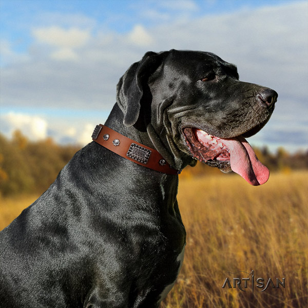 Great Dane easy adjustable collar with incredible decorations for your pet