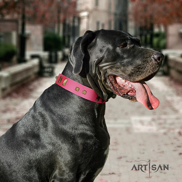 Great Dane walking full grain leather collar with decorations for your canine