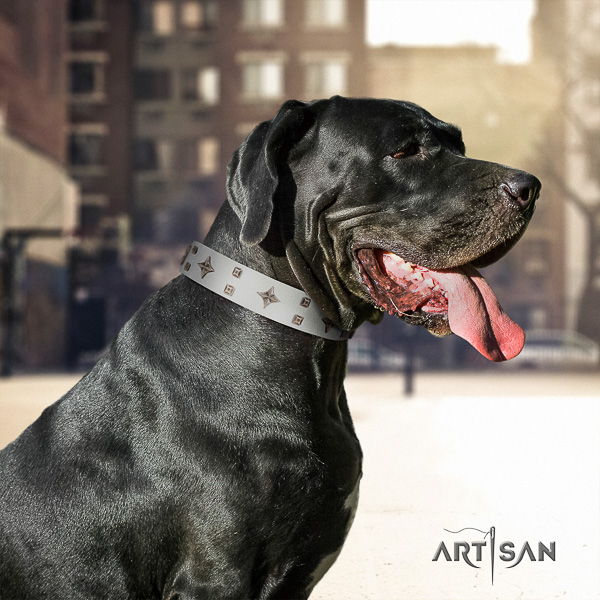 Great Dane fancy walking full grain leather collar with decorations for your doggie