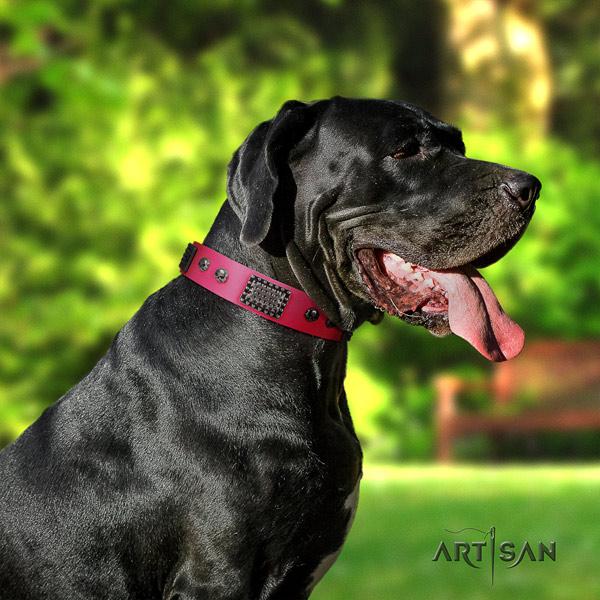 Great Dane best quality collar with incredible decorations for your pet