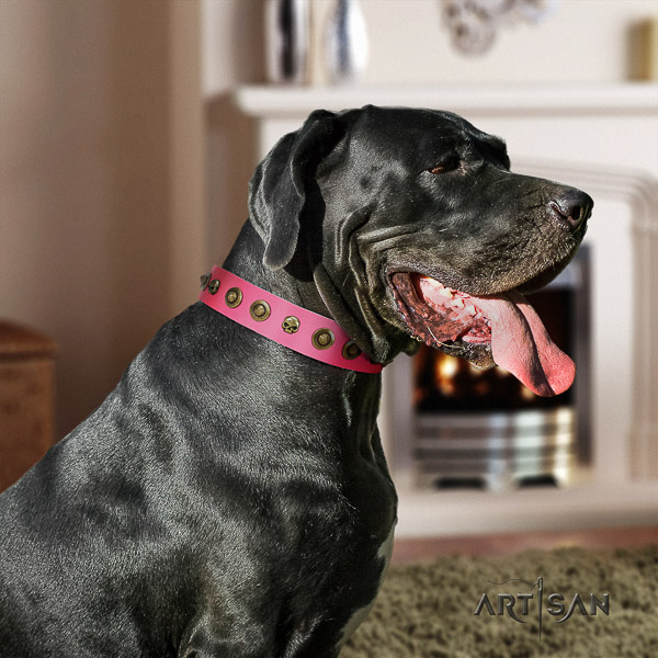 Great Dane easy wearing leather collar with decorations for your four-legged friend