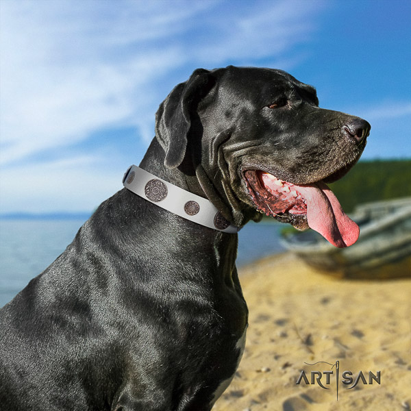 Great Dane fancy walking natural leather collar with studs for your canine