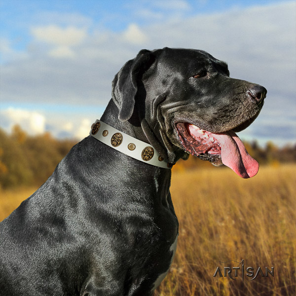 Great Dane handy use full grain leather collar with embellishments for your pet
