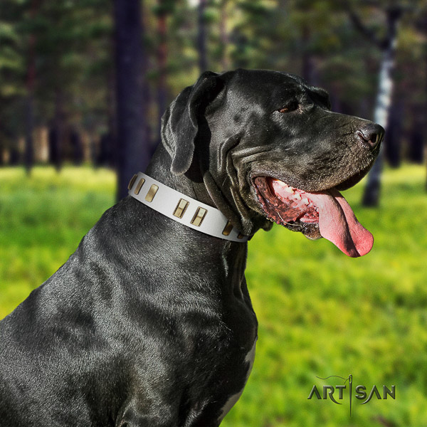 Great Dane fancy walking leather collar with embellishments for your dog