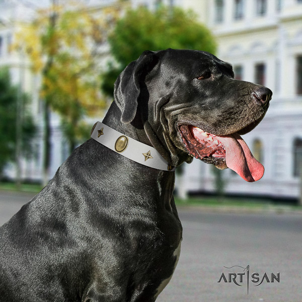 Great Dane daily walking full grain genuine leather collar with embellishments for your dog