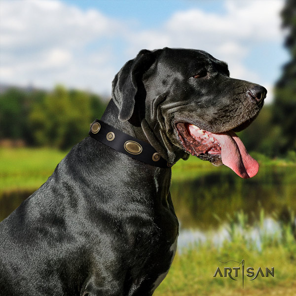 Great Dane handcrafted collar with impressive embellishments for your pet