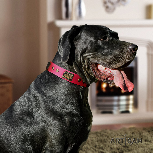 Great Dane easy to adjust collar with designer decorations for your doggie