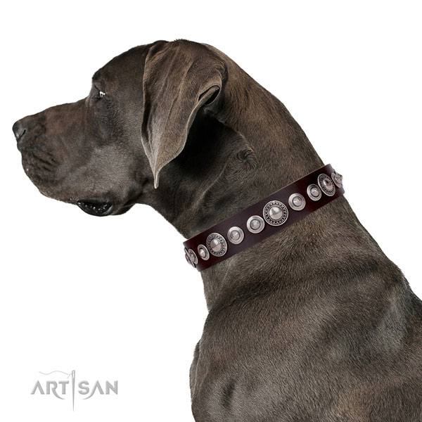 Great Dane top quality genuine leather dog collar for comfy wearing