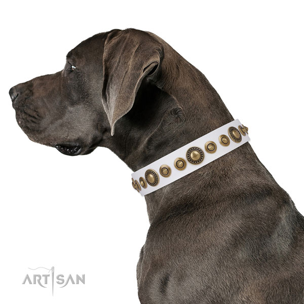 Great Dane convenient full grain genuine leather dog collar for handy use