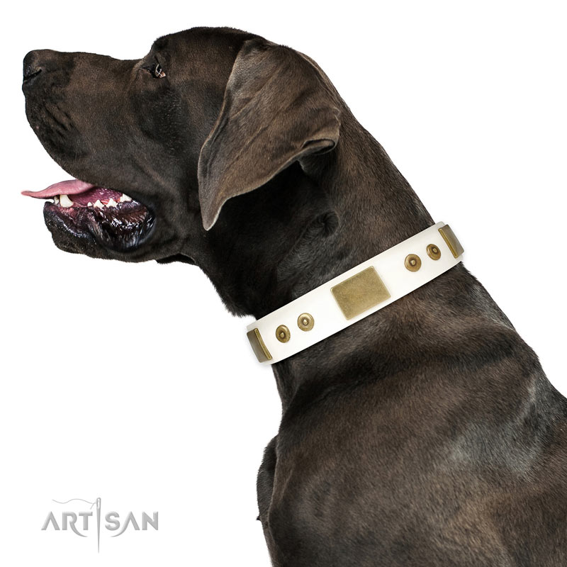 FDT Artisan Impress' Decorated Leather Great Dane Dog