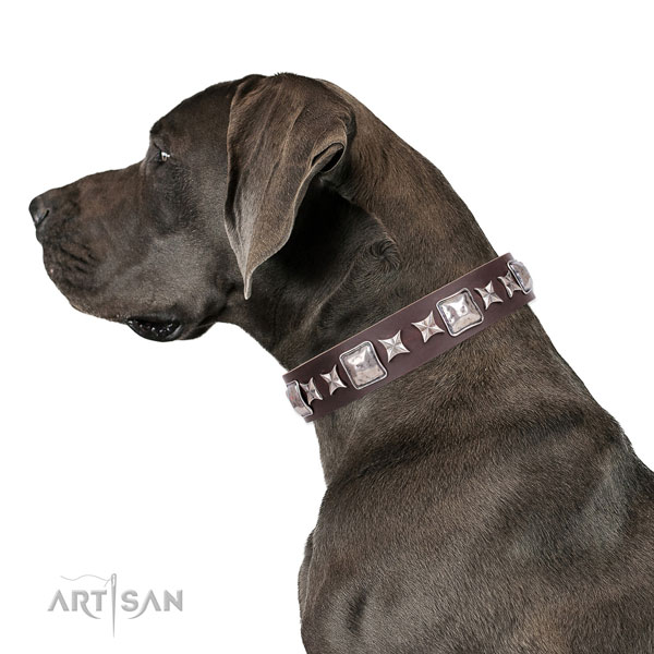 Great Dane handmade leather dog collar for handy use