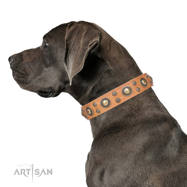 Great Dane stylish design full grain natural leather dog collar for comfy wearing