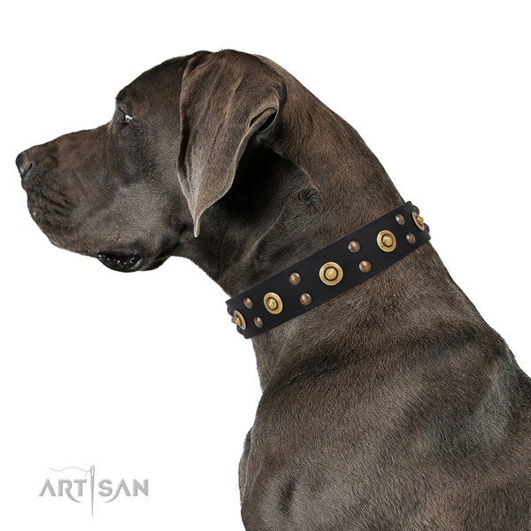 Great Dane comfortable full grain genuine leather dog collar for handy use