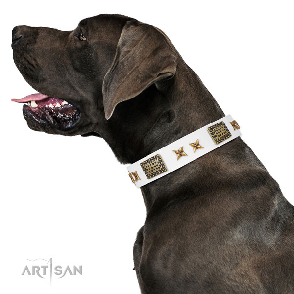 Great Dane remarkable full grain natural leather dog collar for comfy wearing