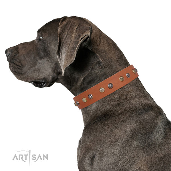 Great Dane handmade full grain natural leather dog collar for comfy wearing